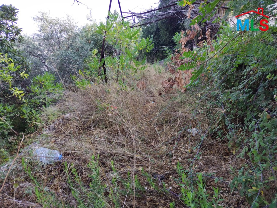 Old House with Land for Sale in Chnaniir