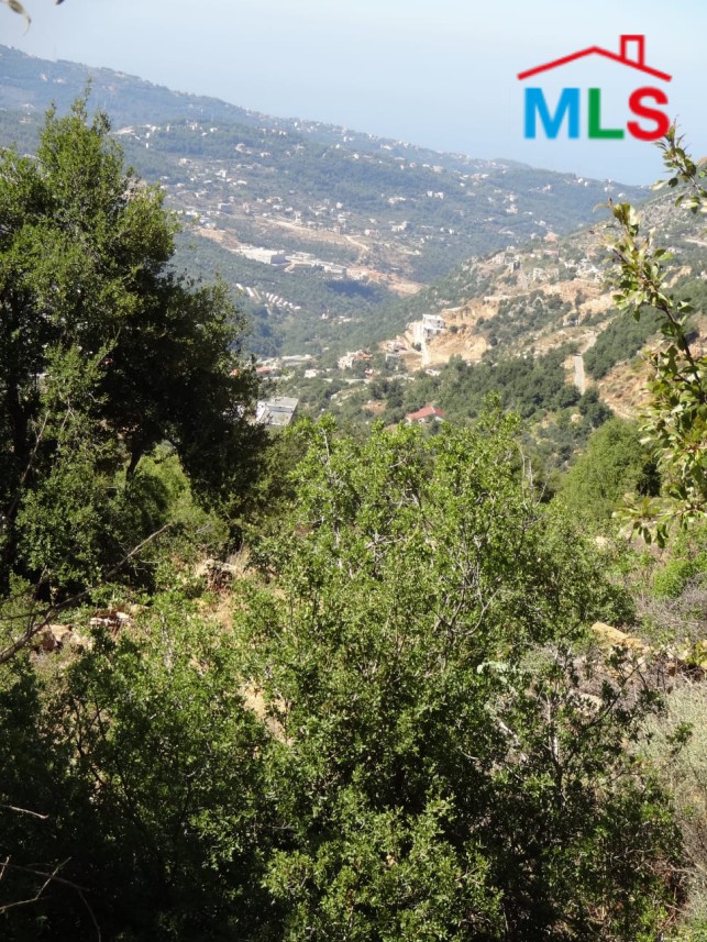 2222 SQM Land for Sale In Ehmej