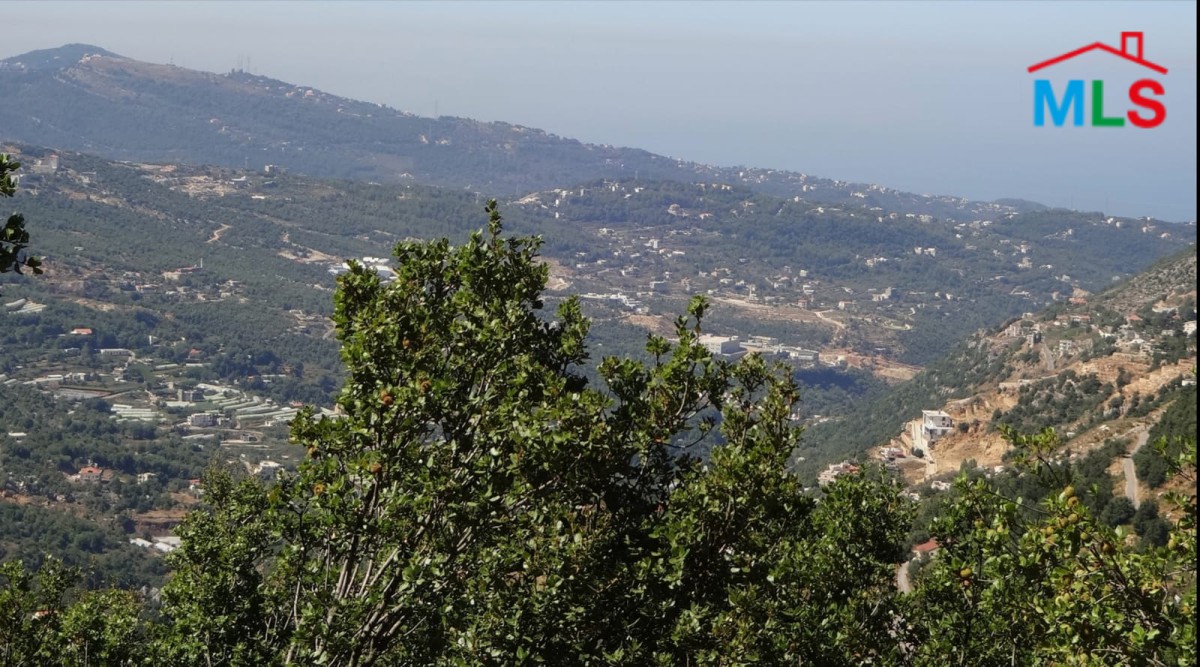 2222 SQM Land for Sale In Ehmej