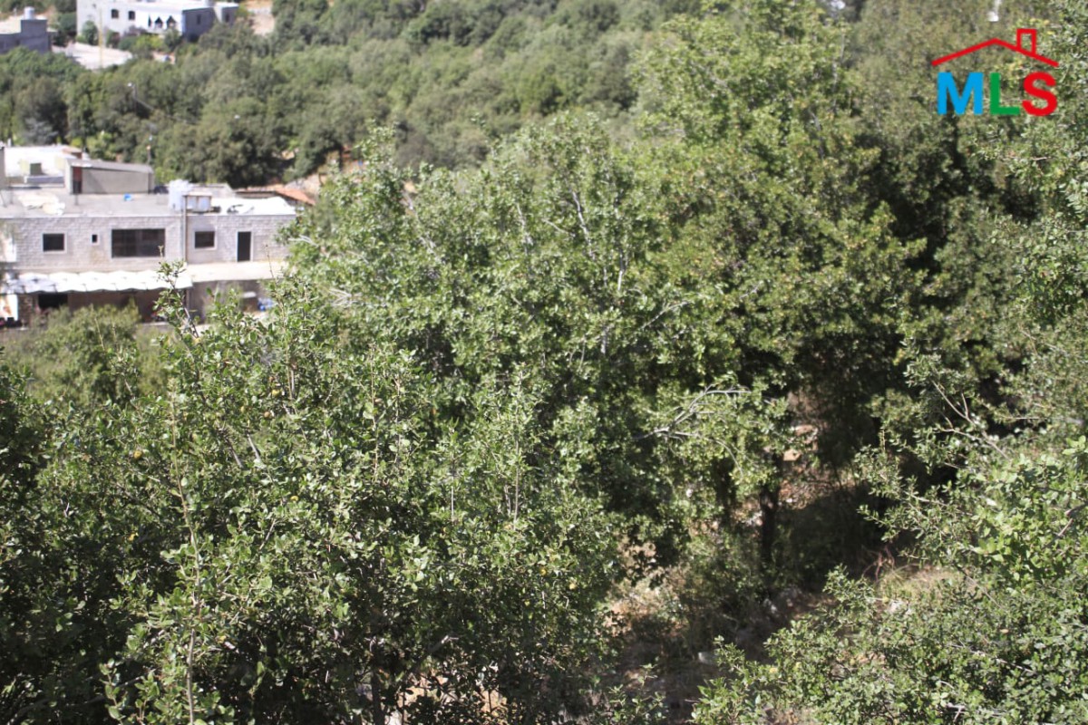 5,200 SQM Land With Great Green View for Sale In Bikfaya