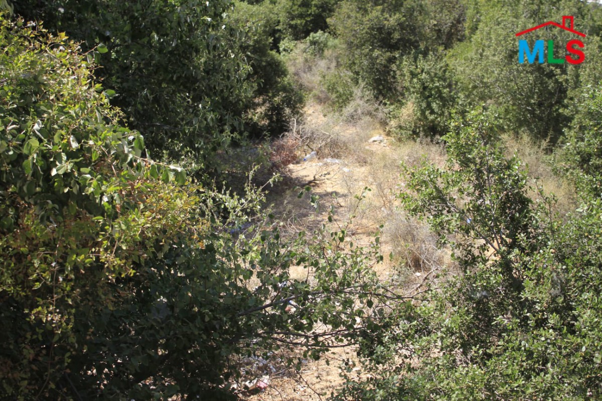5,200 SQM Land With Great Green View for Sale In Bikfaya