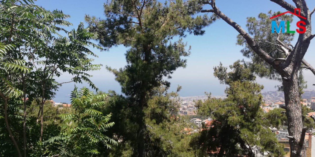 2000 SQM Land for Sale in Roumie