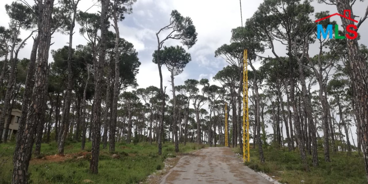A Unique Land With Amazing Green View for Sale In Bolonia