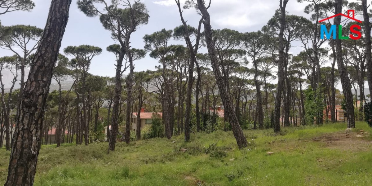 A Unique Land With Amazing Green View for Sale In Bolonia