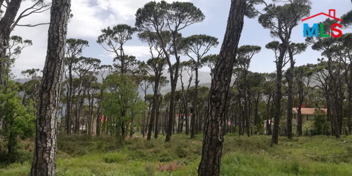A Unique Land With Amazing Green View for Sale In Bolonia
