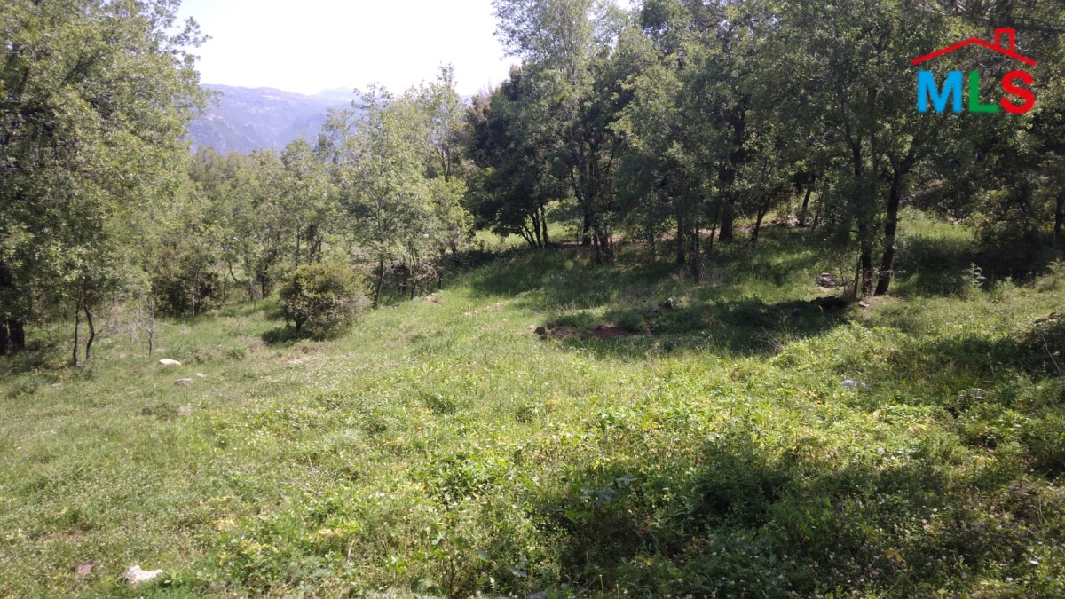 2300 SQM Land for Sale With Great Mountain View in Bikfaya