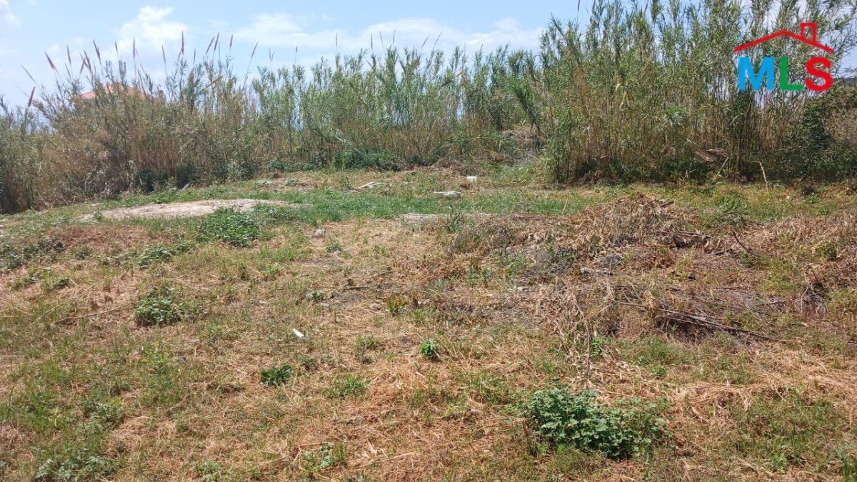 An Amazing Land for Sale in A Calm Area in Adma