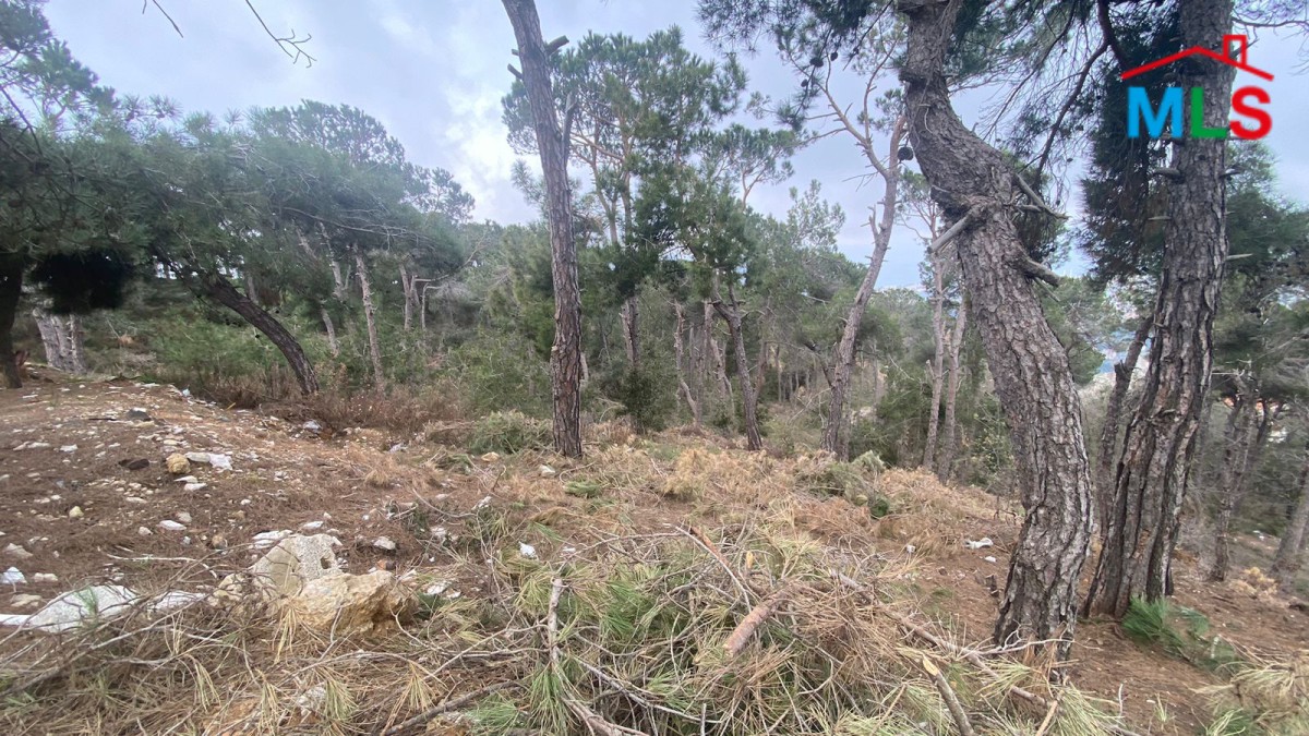 2,800 SQM Land for Sale with an Exceptional View in El Naas
