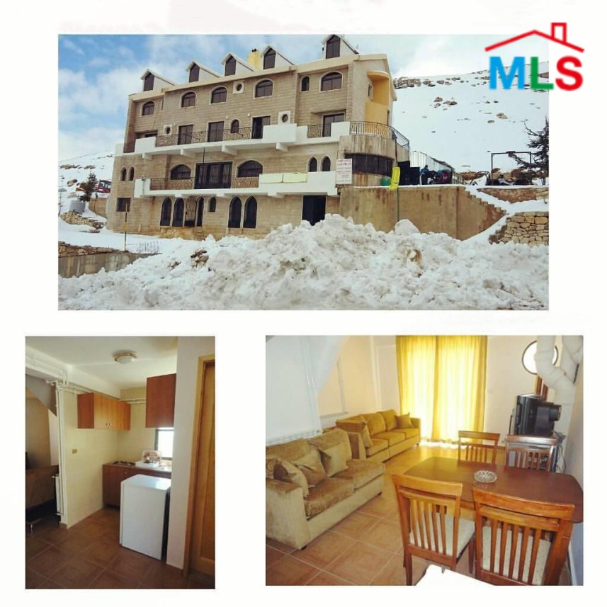 Fully Furnished Building with 9 Chalets for Sale in Ouyoun Al Simen