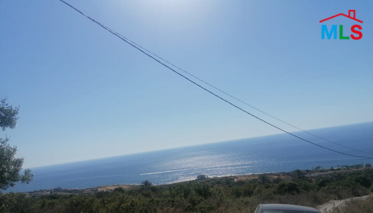 Spacious Land for Sale in Barbara