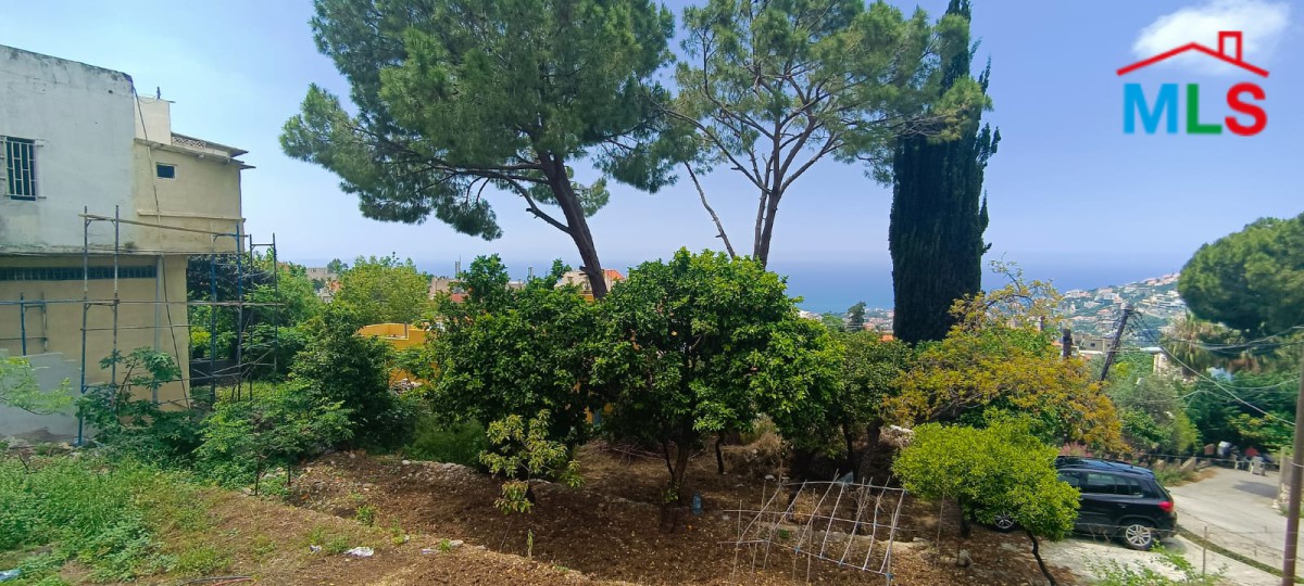 Amazing land for Sale in The Heart of Ghazir