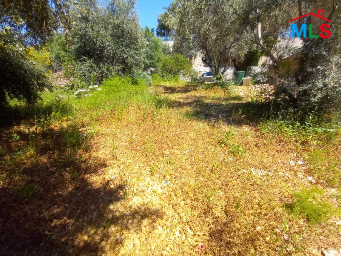 Land For Sale In The Heart Of Kfarhbeib With A Panoramic Sea View