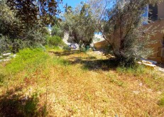 from db