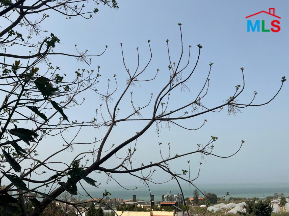 Spacious Apartment with Garden for Sale in Jbeil