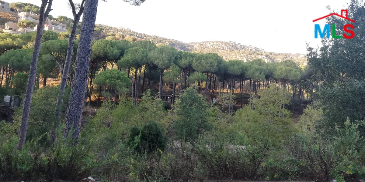 Hot Deal! Land in Baabdat, Zahrieh for Sale
