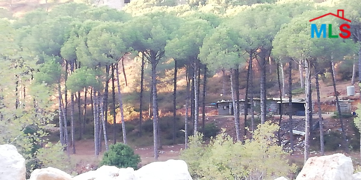 Hot Deal! Land in Baabdat, Zahrieh for Sale