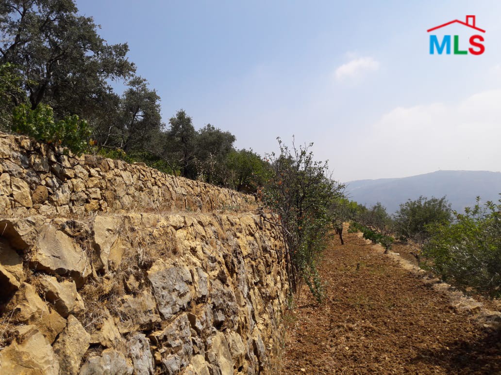 Land for Sale in Al-Kaakour