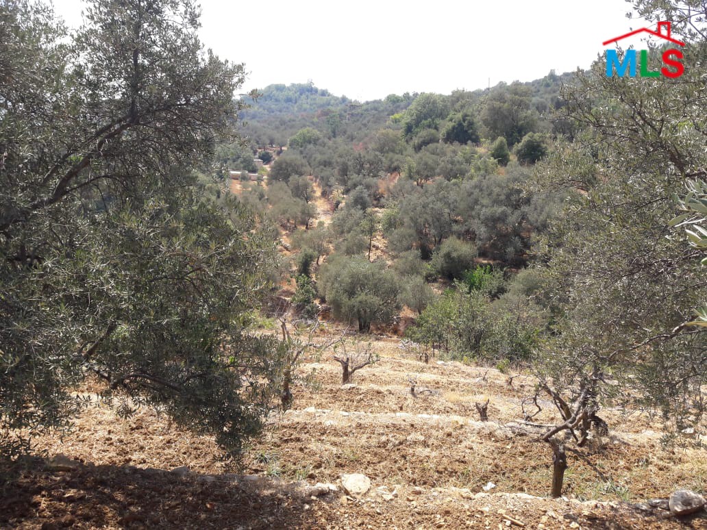 Land for Sale in Al-Kaakour