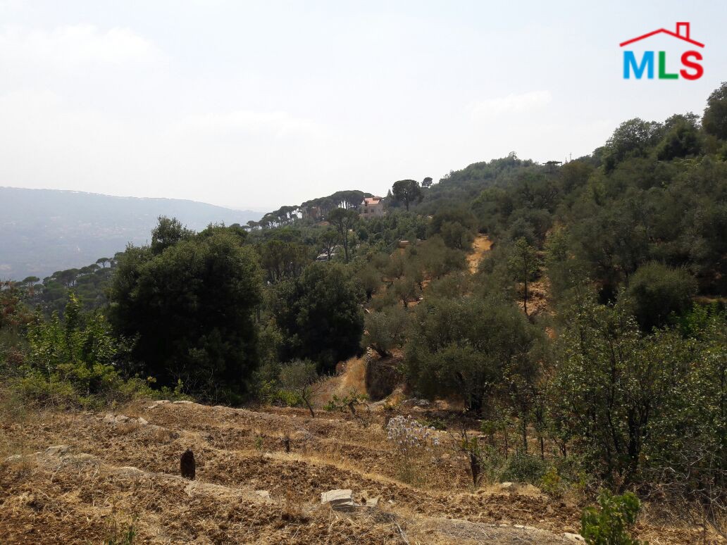 Land for Sale in Al-Kaakour