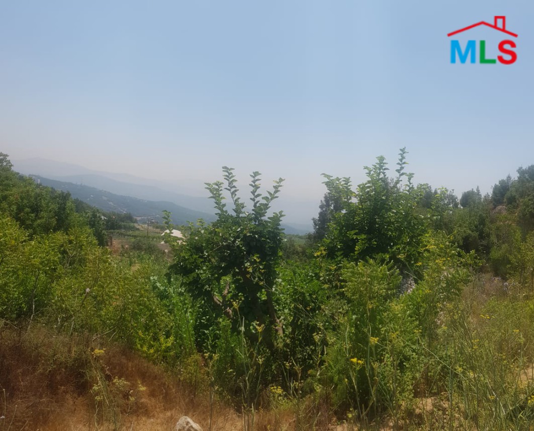 Land for Sale in Klayaat