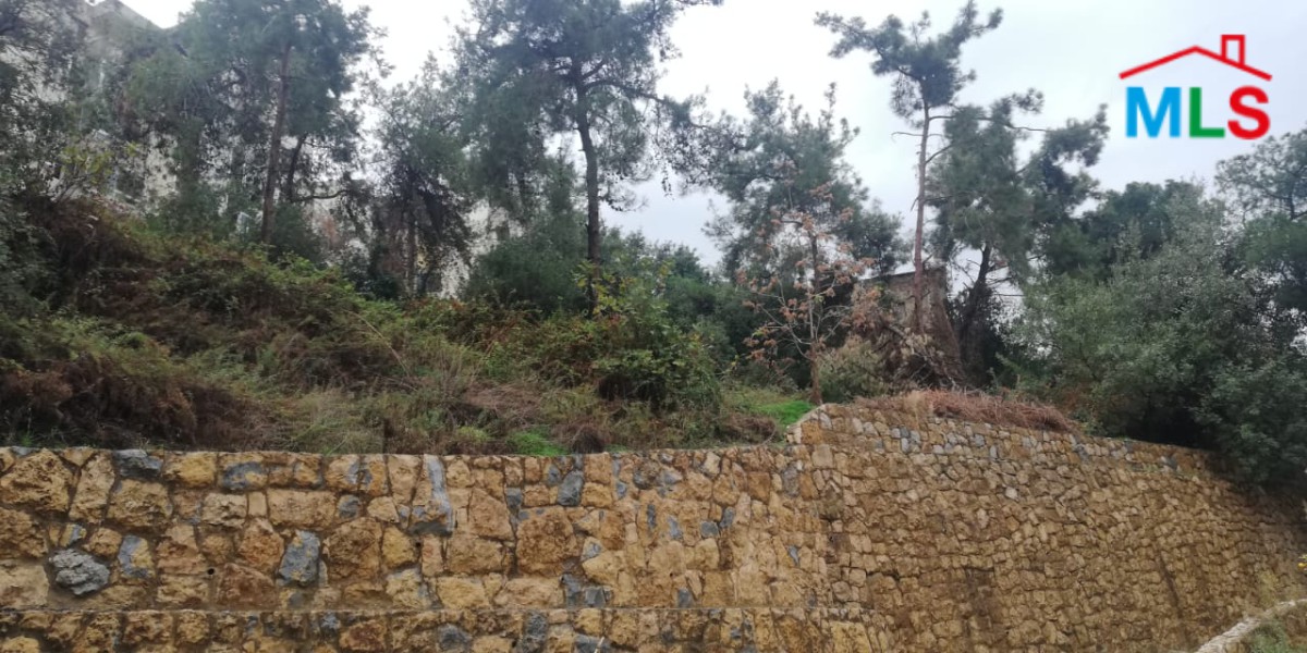 Well Located Land for Sale in Aoukar with Sea View