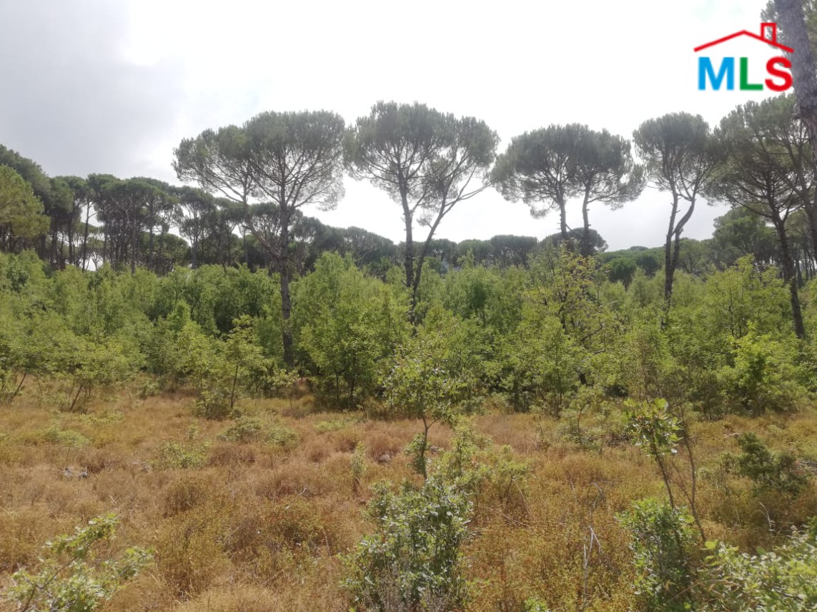 Land for Sale in Bzebdine