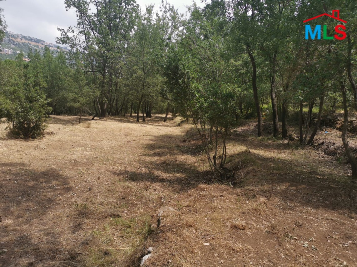 Land for Sale in Bzebdine