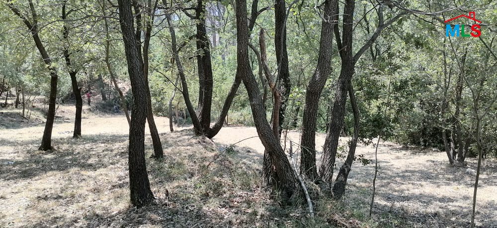 Land for Sale in Bzebdine