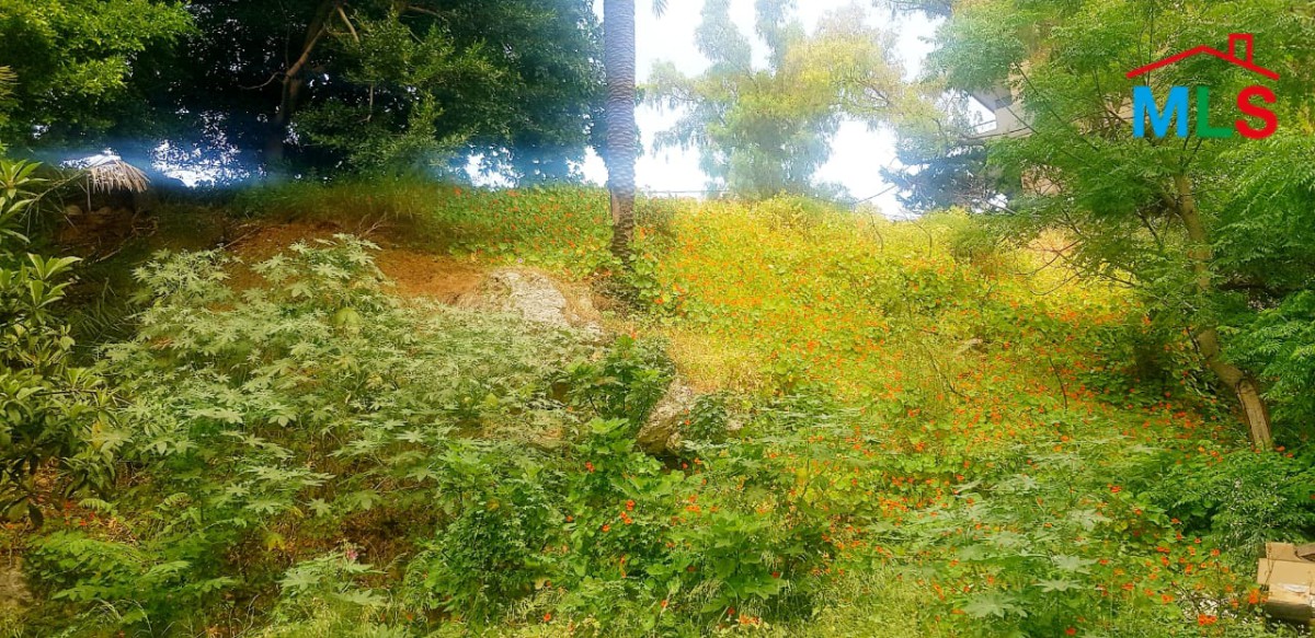 Unique Land for Sale in Sarba