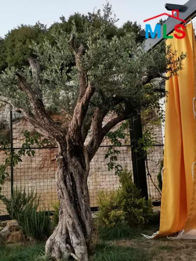 Triplex Villa with Garden for Sale in Mechmech