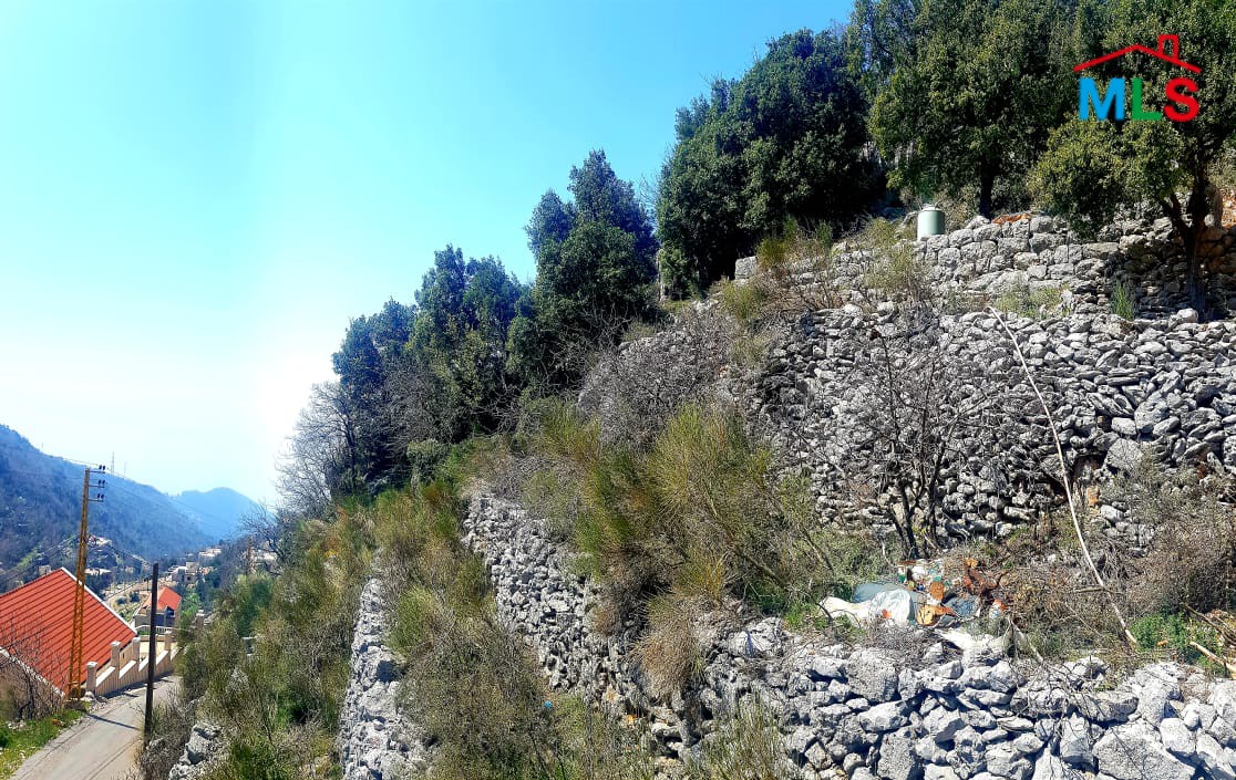 Land for Sale in Raachine