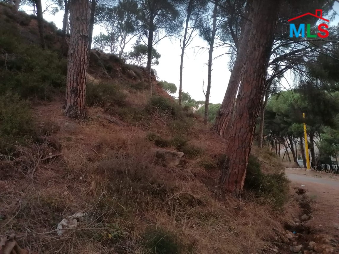A rare opportunity! Land for Sale in Konaytra