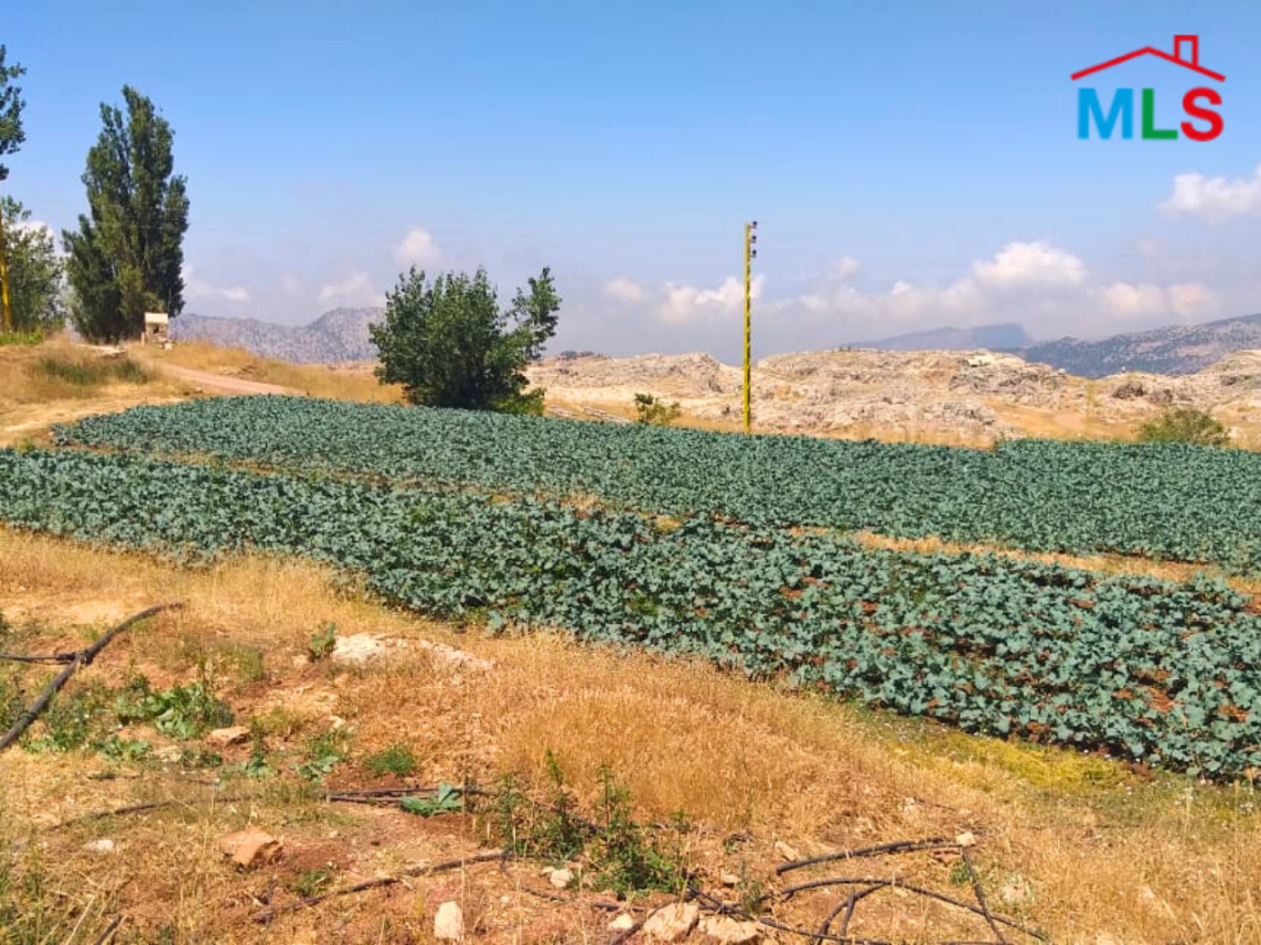 Beautiful Land for Sale in Laqlouq