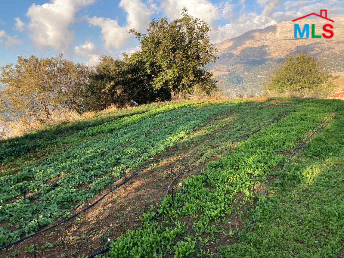 Wonderful land For Sale in Zaarour With A Panoramic View