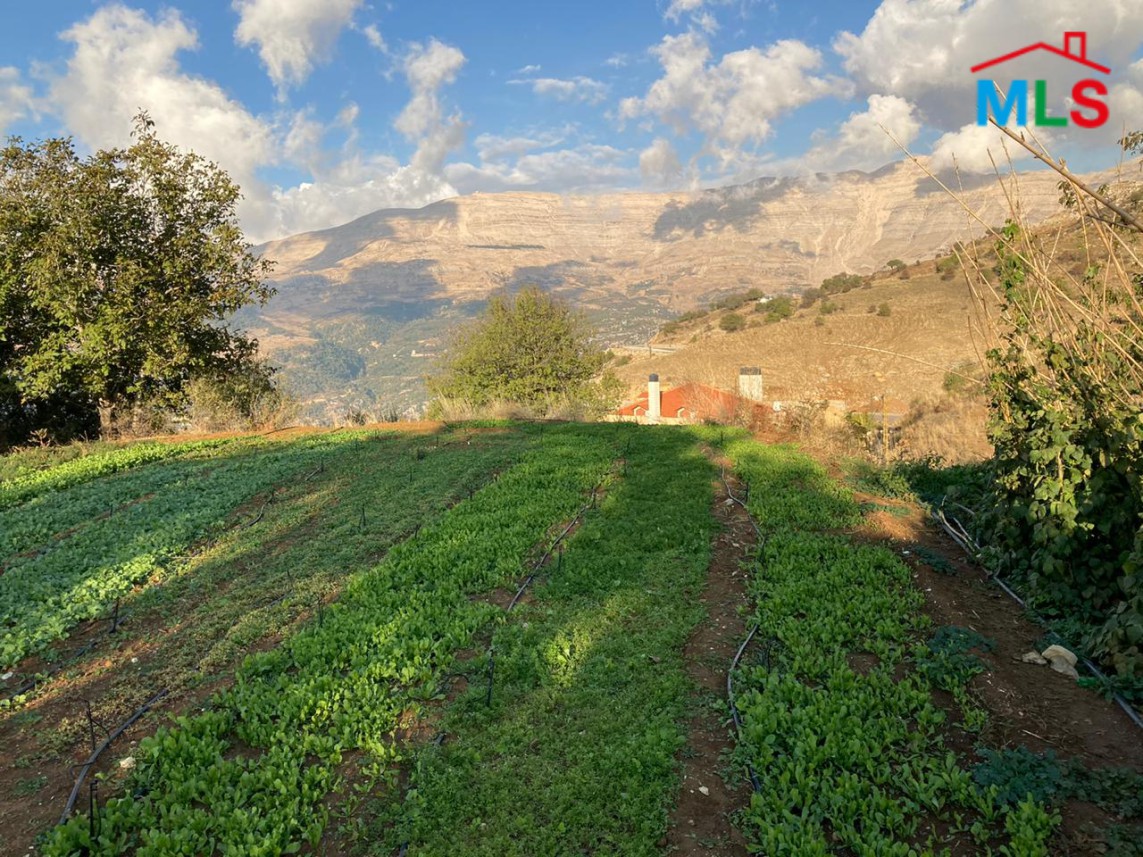 Wonderful land For Sale in Zaarour With A Panoramic View
