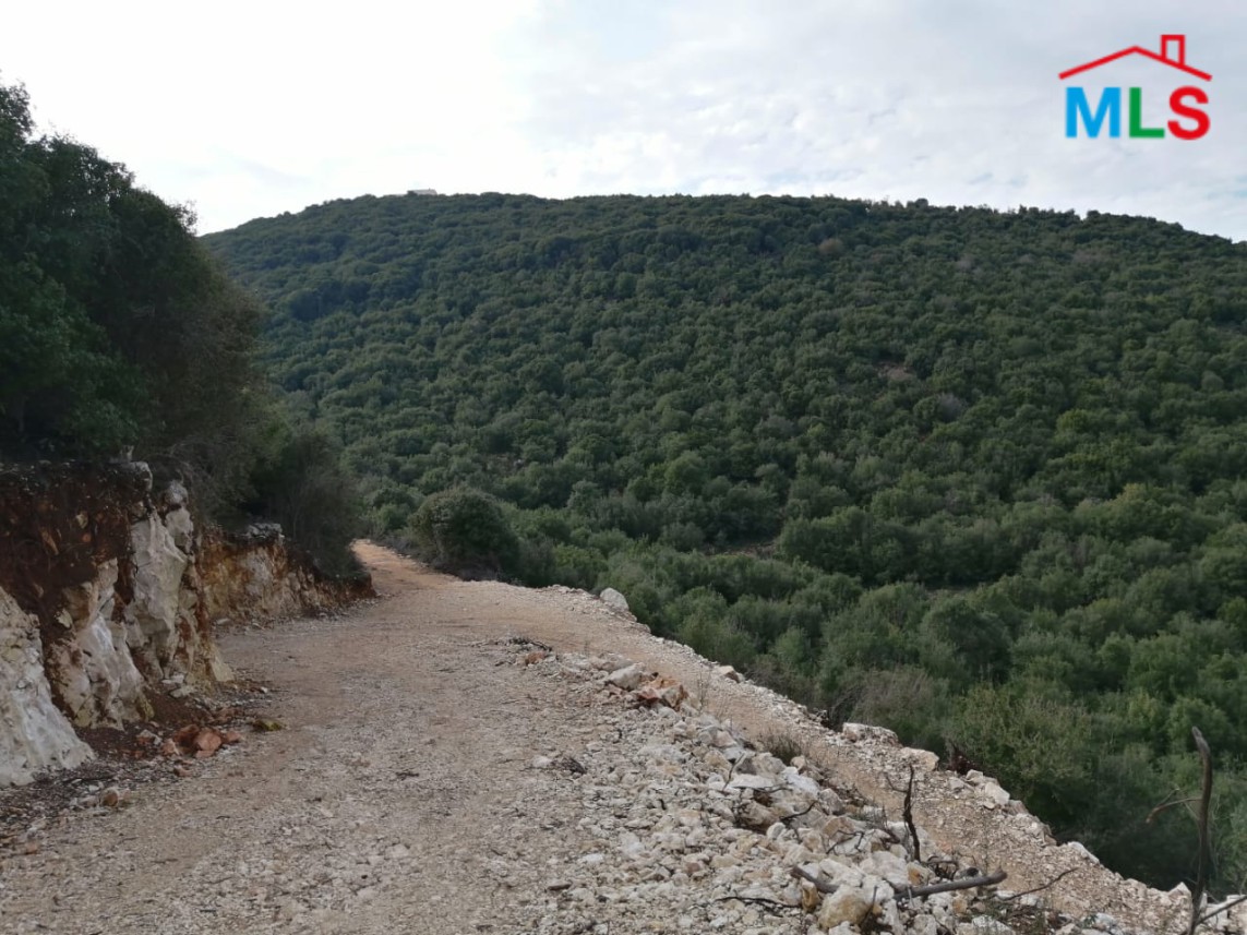 10,237 sqm Land for Sale in Bijdarfel Batroun