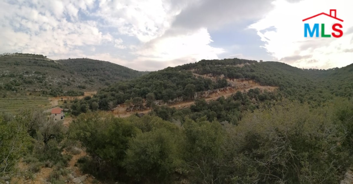 10,237 sqm Land for Sale in Bijdarfel Batroun
