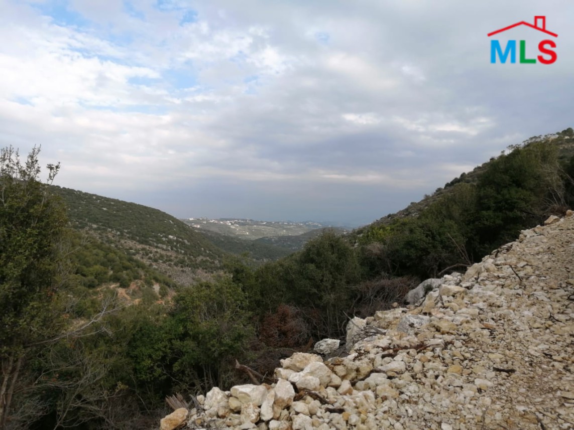 10,237 sqm Land for Sale in Bijdarfel Batroun