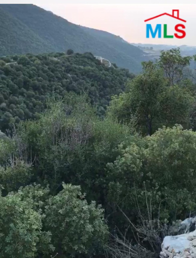 1000 sqm Land for Sale in Braij