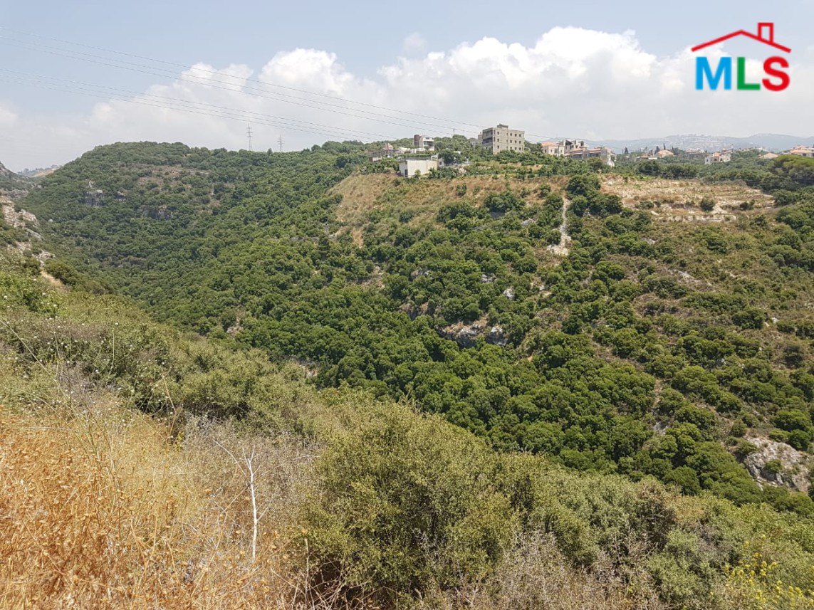 Land For Sale in Aamchit