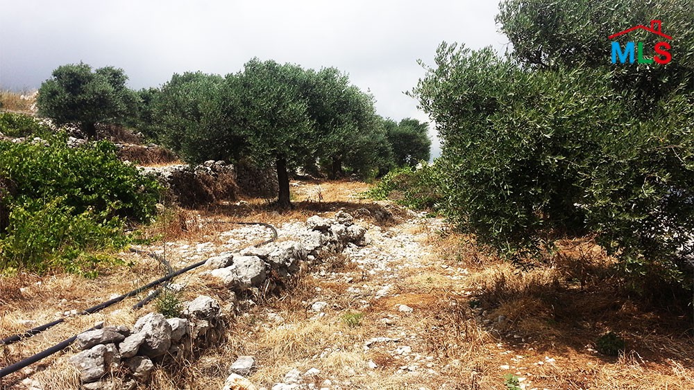 Land with Mountain View For Sale in Chabtine, Batroun