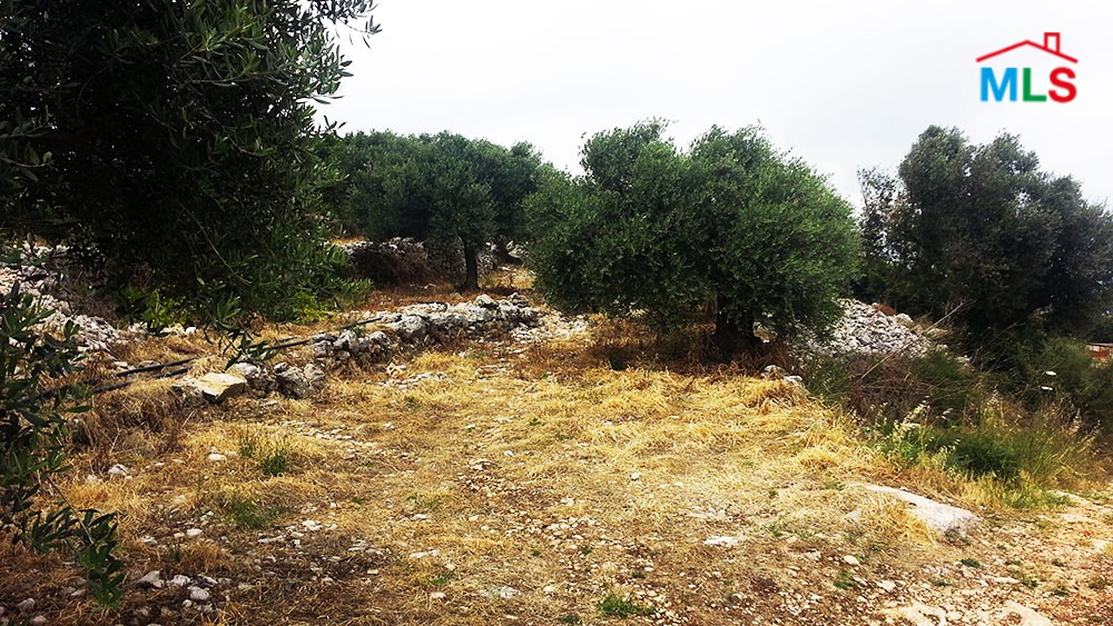 Land with Mountain View For Sale in Chabtine, Batroun