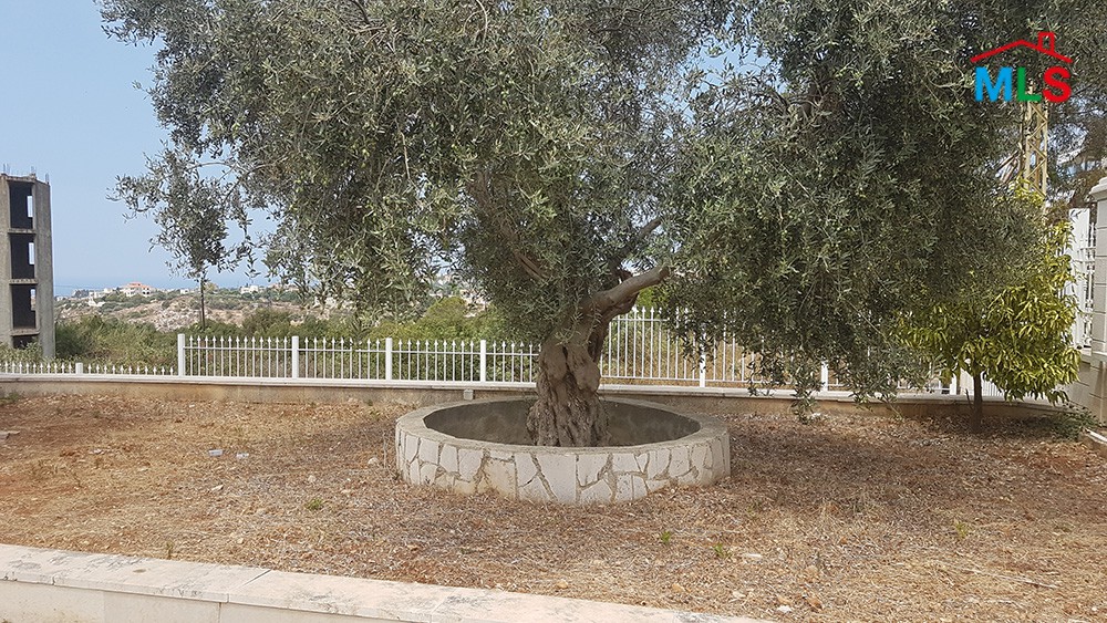 Super Deluxe Villa for Sale In Gerfine Jbeil