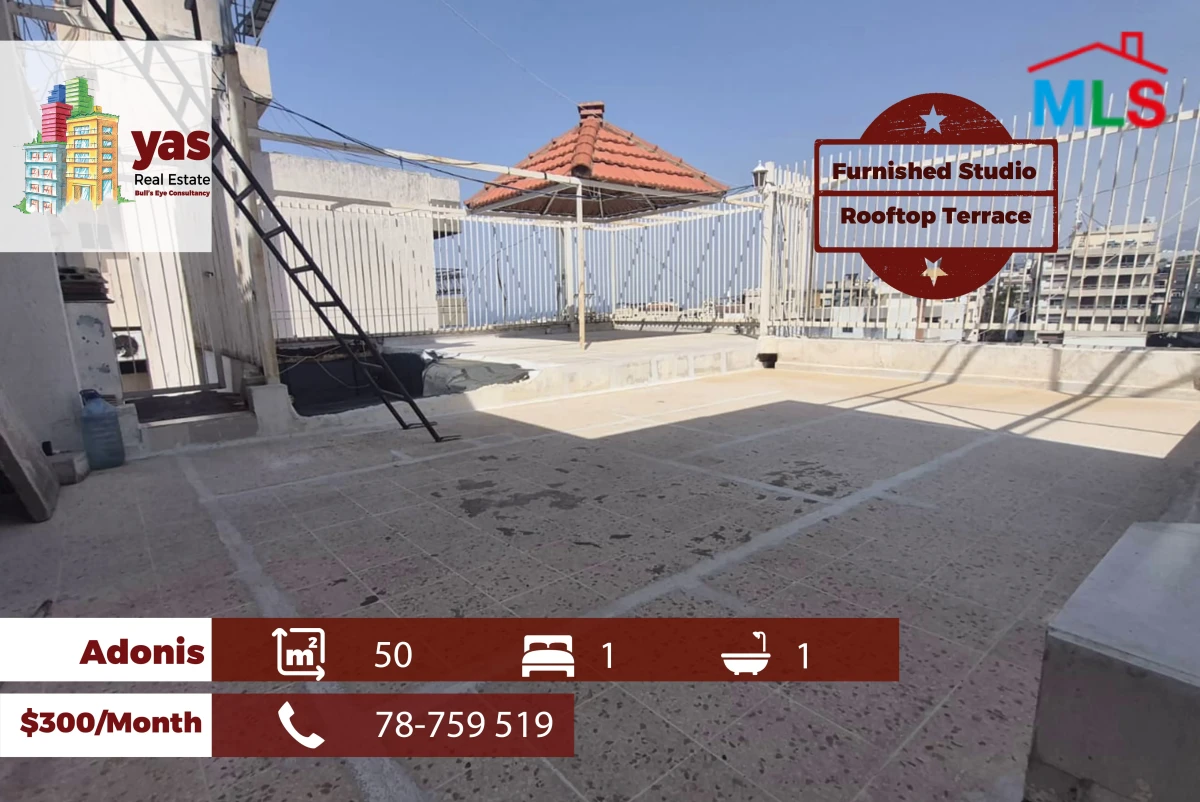 Adonis 50m2 | Furnished Studio | Rent | Rooftop Terrace | MCH