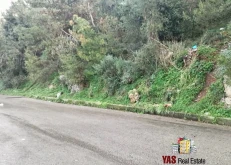 from db