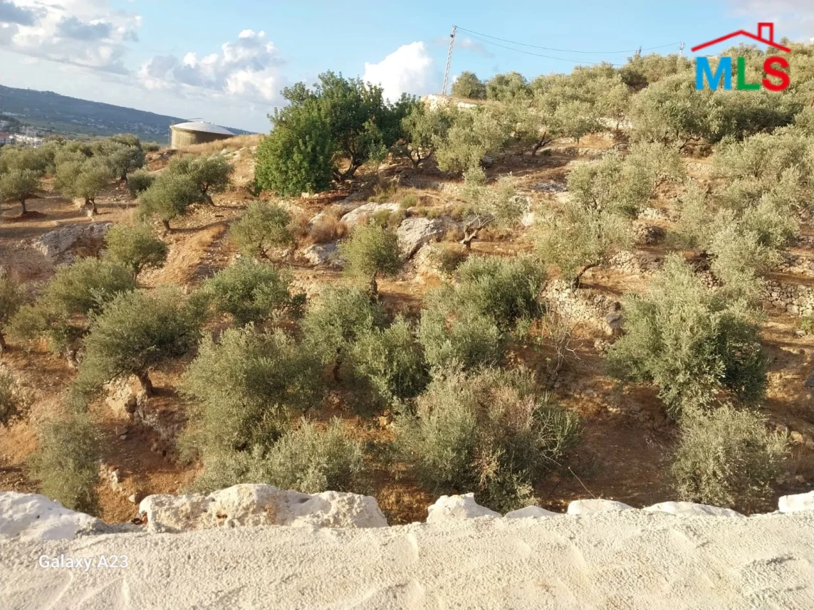 Koura 3890m2 | Agricultural Land | Prime Location | MCH