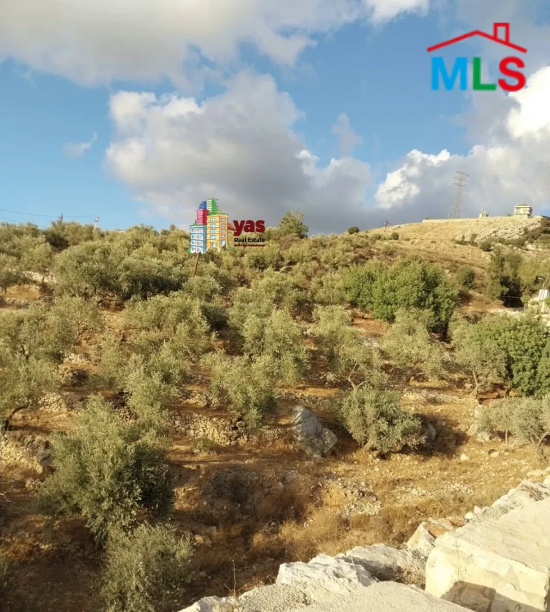 Koura 3890m2 | Agricultural Land | Prime Location | MCH