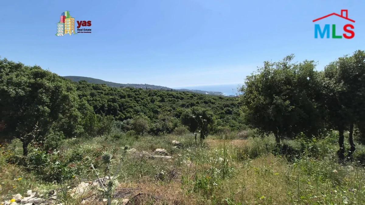 Rachana 1400m2 | Land | Coeff 15/30 | Sea View | Ideal Investment |MCH