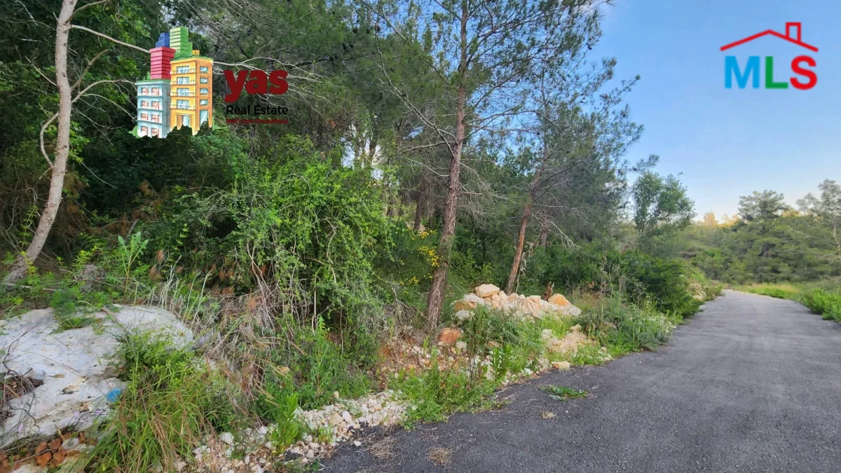 Monteverde 1000m2 | Land | Prime Location | Panoramic View | OH