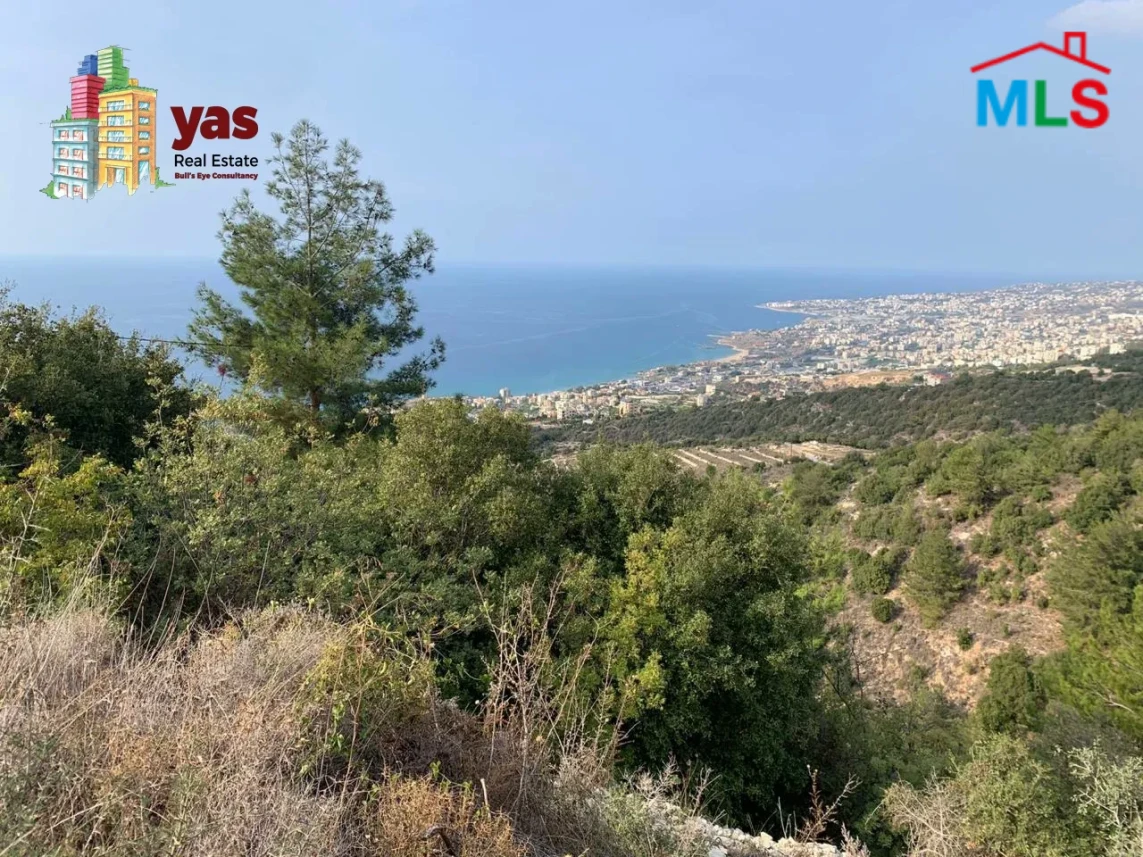 Halat 8000m2 | Sea View | Land | Prime Location | MCH